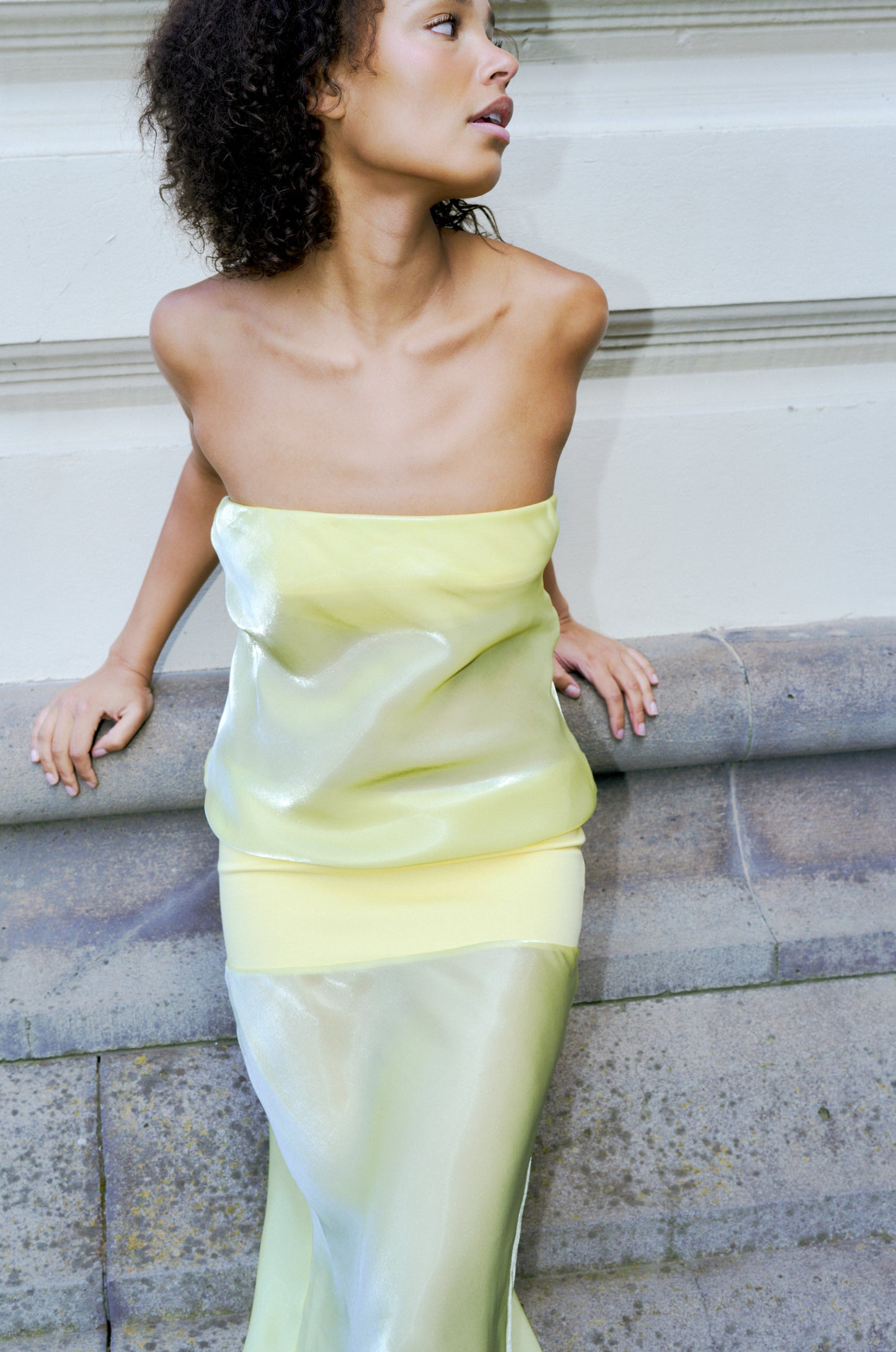 MELT PANEL DRESS